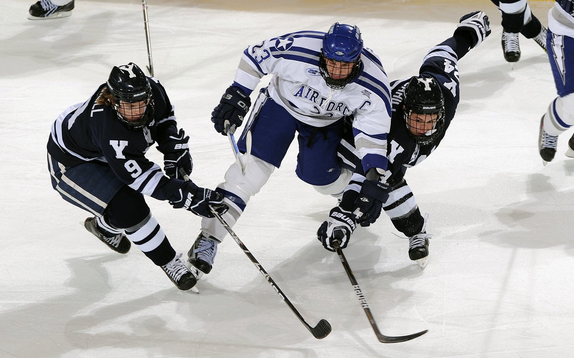 皇家社会中场组织者引领团队攻势，皇家社会阵型